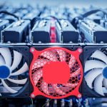 Surviving This Crypto Bear Market Cycle – Everything You Need To Know